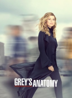 voir serie Grey's Anatomy saison 16