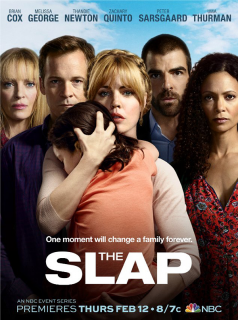 voir serie The Slap (US) en streaming